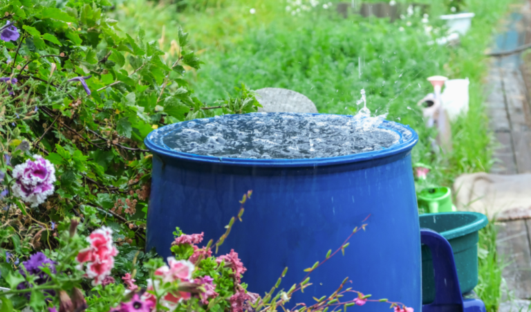 Rainwater Harvesting at Home