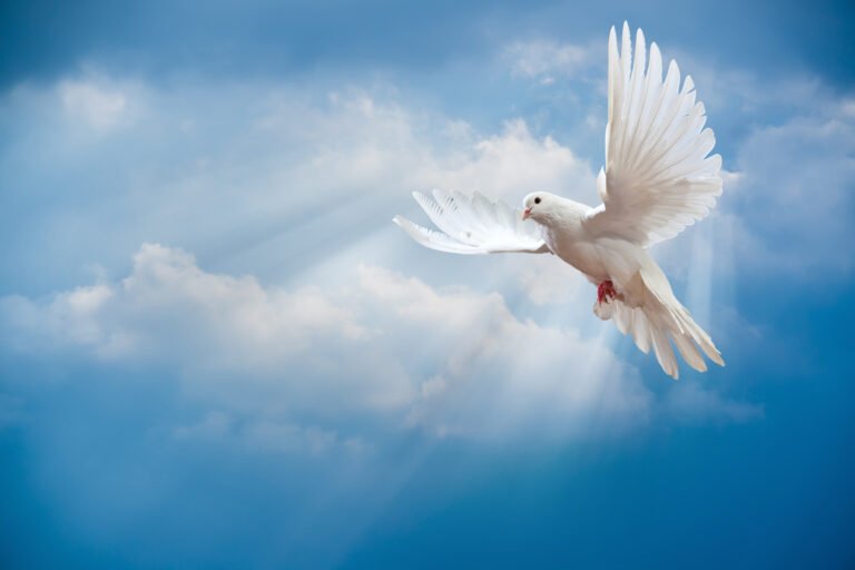 Coming Soon -DeWitt County Devotional Page
