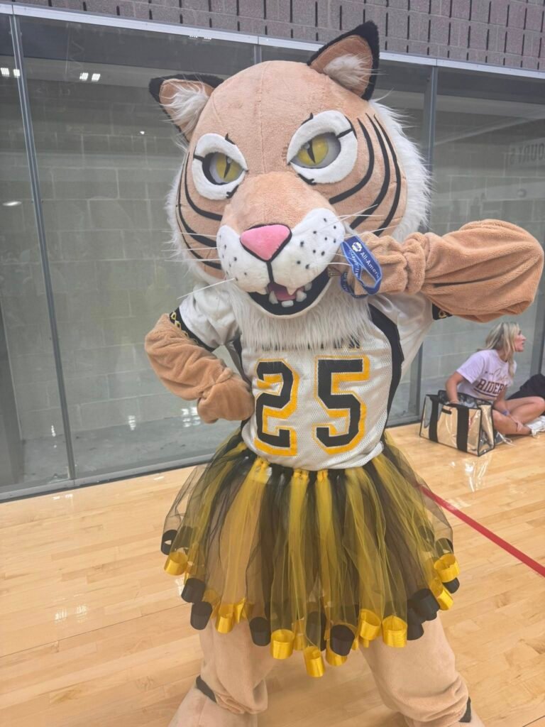 Wildcats Win Big at UCA Cheer Camp