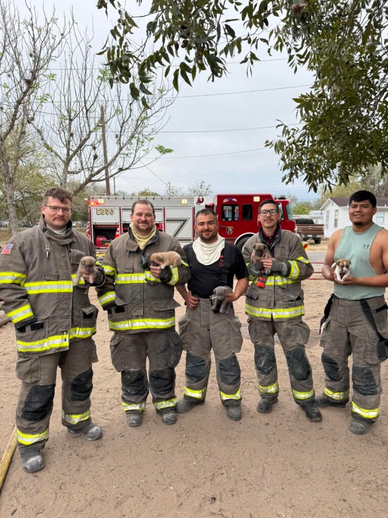 Yorktown Firefighters Rescue Puppies During Early Morning Blaze