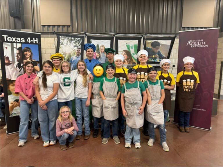 DeWitt County 4‑H Youth Showcase Talent at District 11 Food Show and Food Challenge