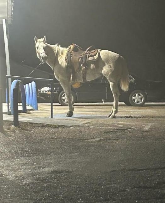 Only in Cuero: Horsepower Tied Up for a Quick Morgan Street Errand
