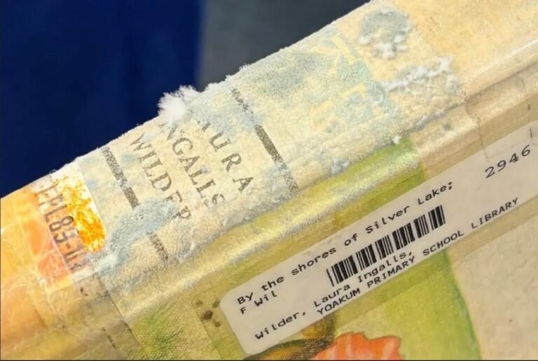 Corruption Watch Texas Files Public Records Request Regarding Reported Mold Concerns at Yoakum ISD